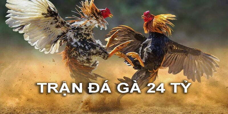 https://athertontownfc.co.uk/im/storage/bai-viet-lien-quan/tran-da-ga-24-ty-1.jpg